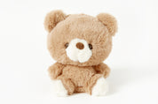 PLUSH TEDDY BEAR BROWN