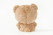 PLUSH TEDDY BEAR BROWN