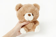 PLUSH TEDDY BEAR BROWN