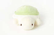 Lucky Turtle Cushion – Green
