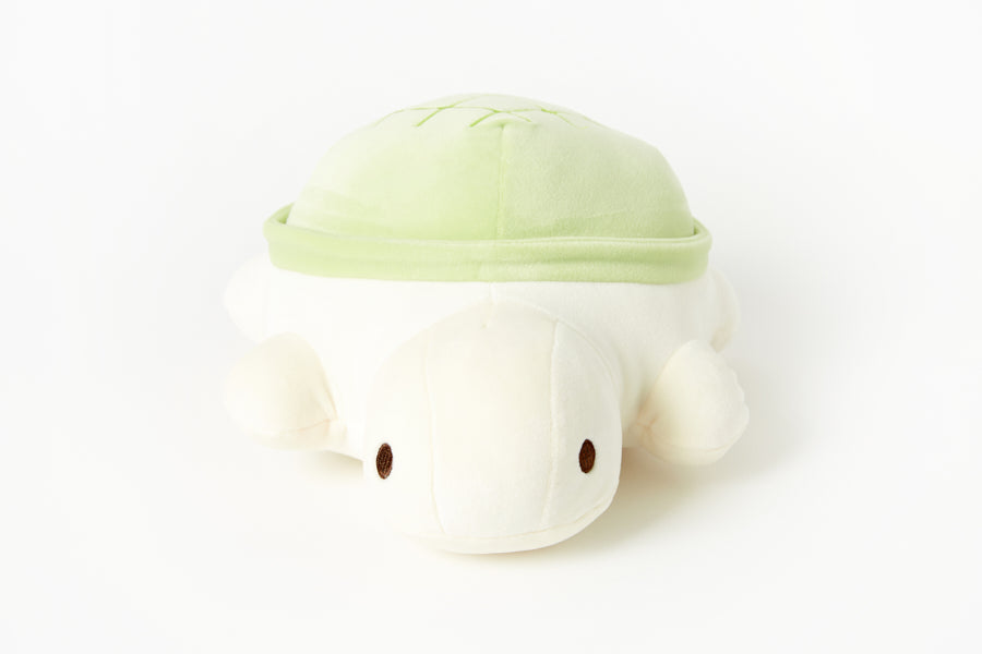 Lucky Turtle Cushion – Green