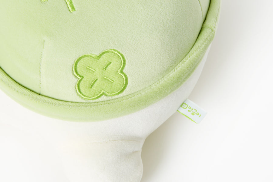 Lucky Turtle Cushion – Green