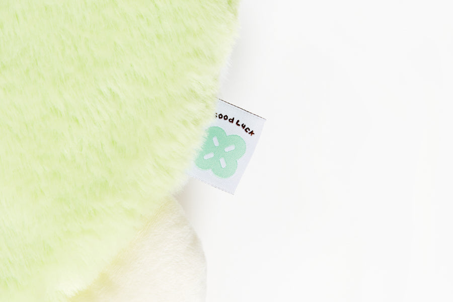 Lucky Turtle Cushion Seat – Green