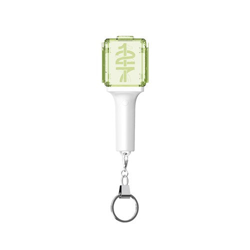 NCT 127 Mini Fanlight Keyring