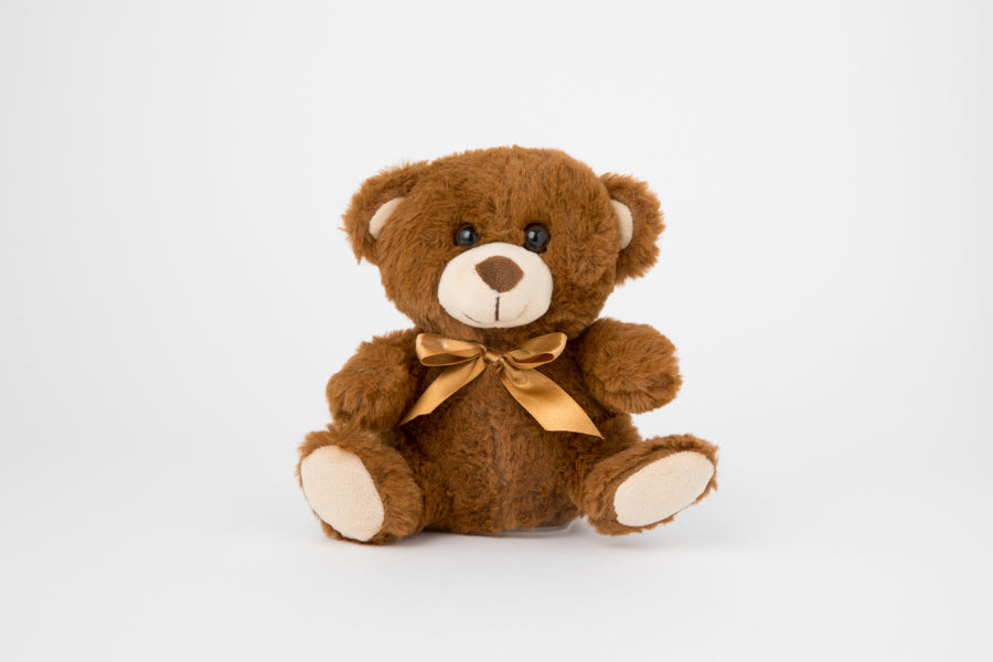 Talking Doll Teddy Bear