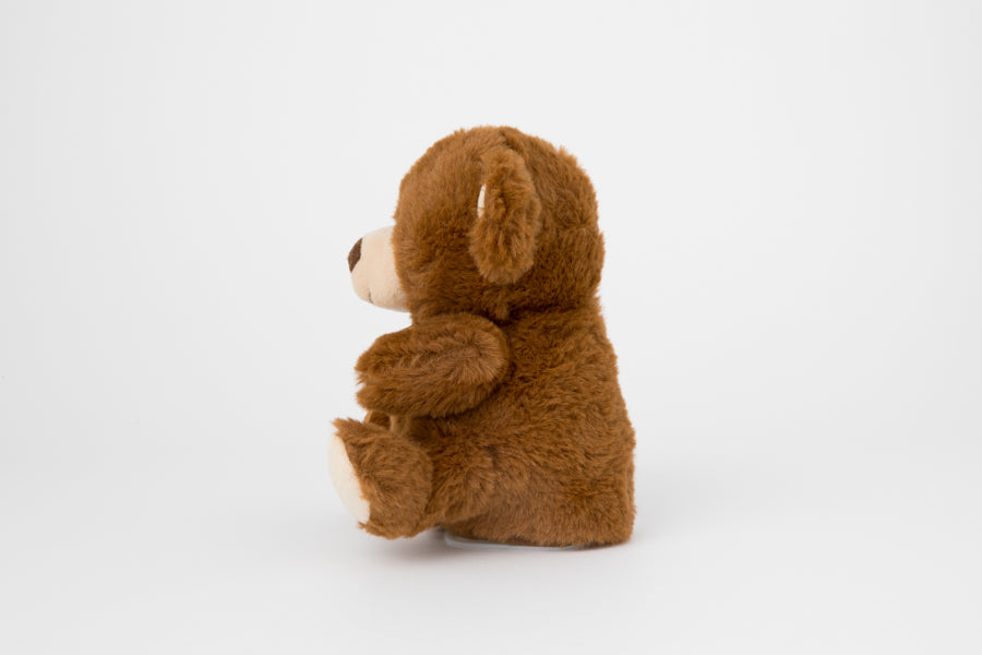 Talking Doll Teddy Bear