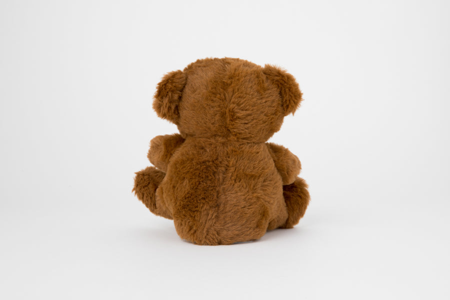 Talking Doll Teddy Bear