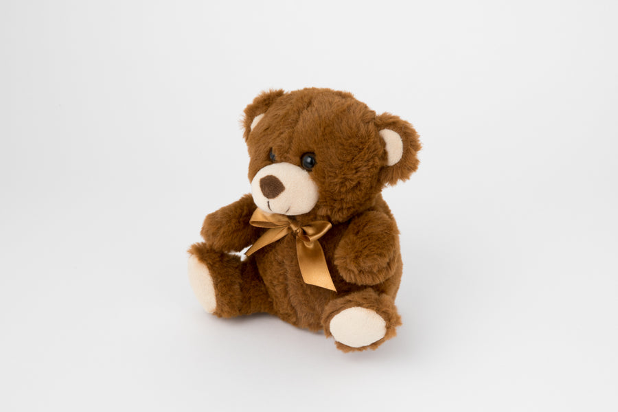 Talking Doll Teddy Bear