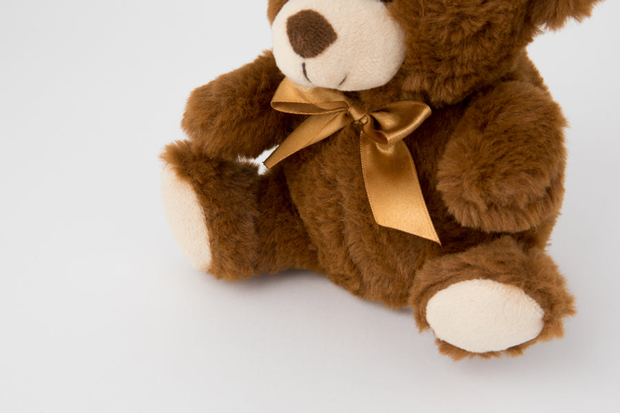 Talking Doll Teddy Bear