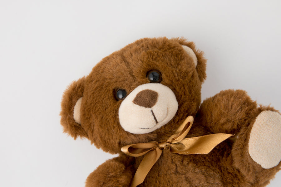 Talking Doll Teddy Bear