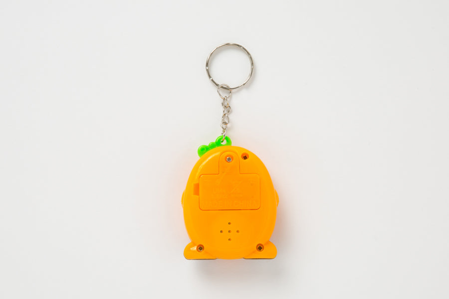 Pocket Raising Pet Carrot