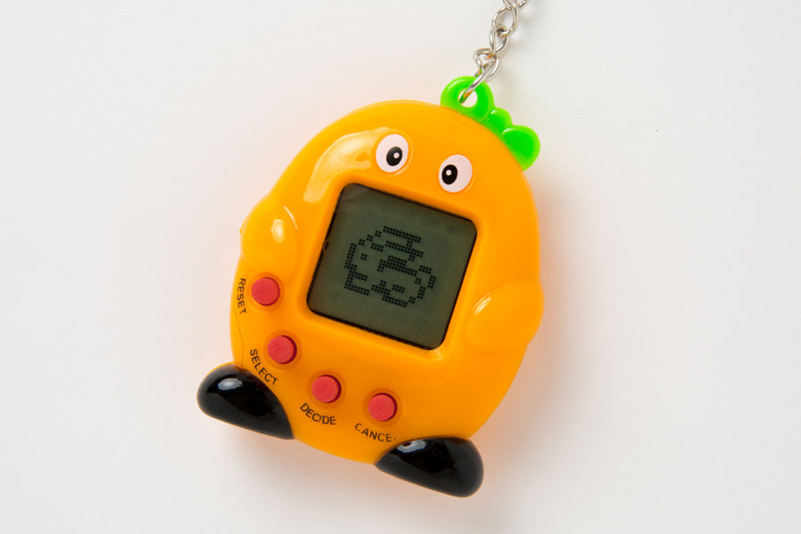Pocket Raising Pet Carrot