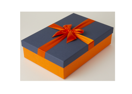 Gift Box Ribbon Navy & Orange L
