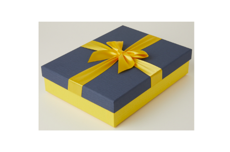 Gift Box Ribbon Navy & Yellow M