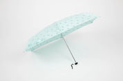 Umbrella Daisy Mint