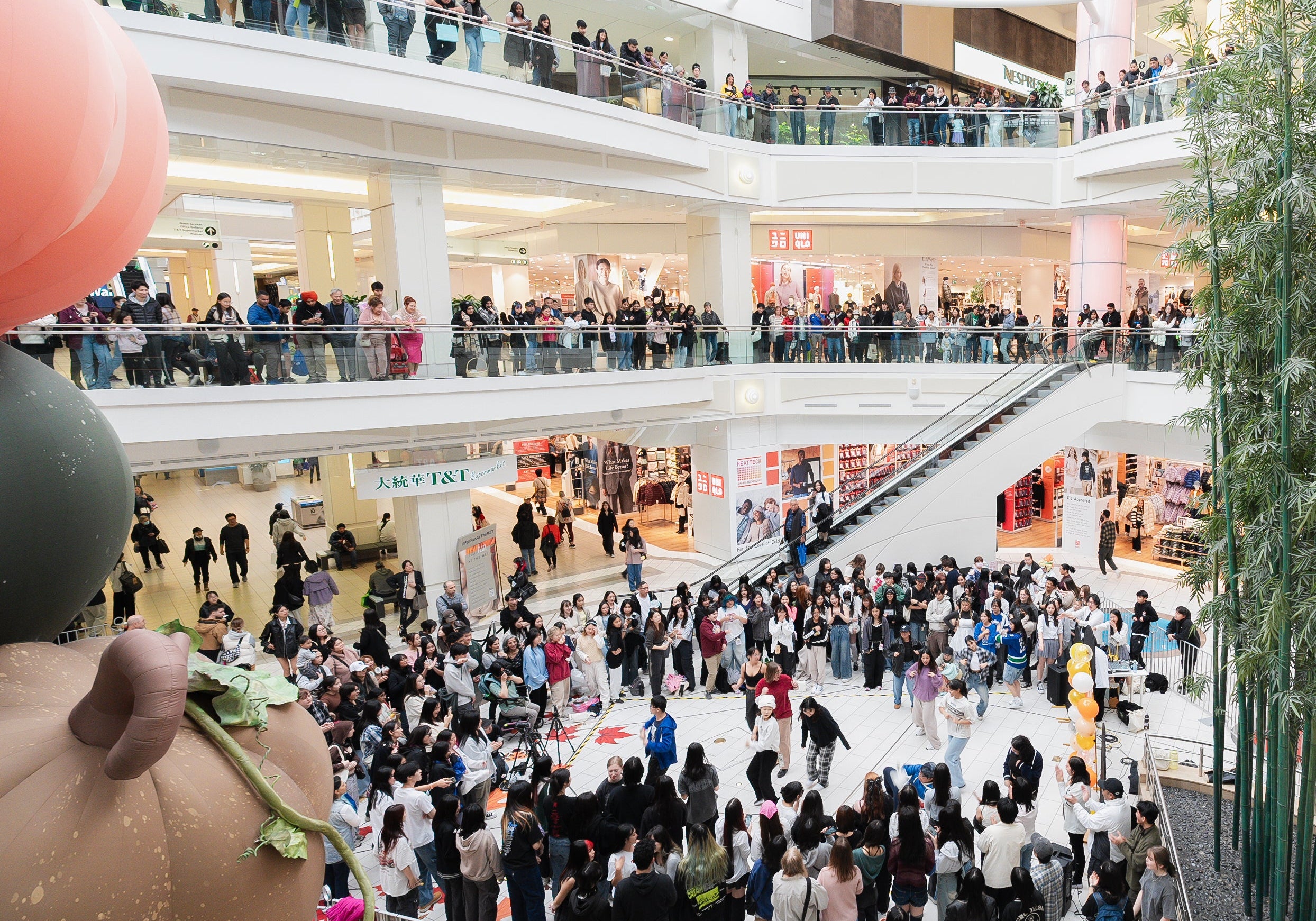 Amuse Market #2