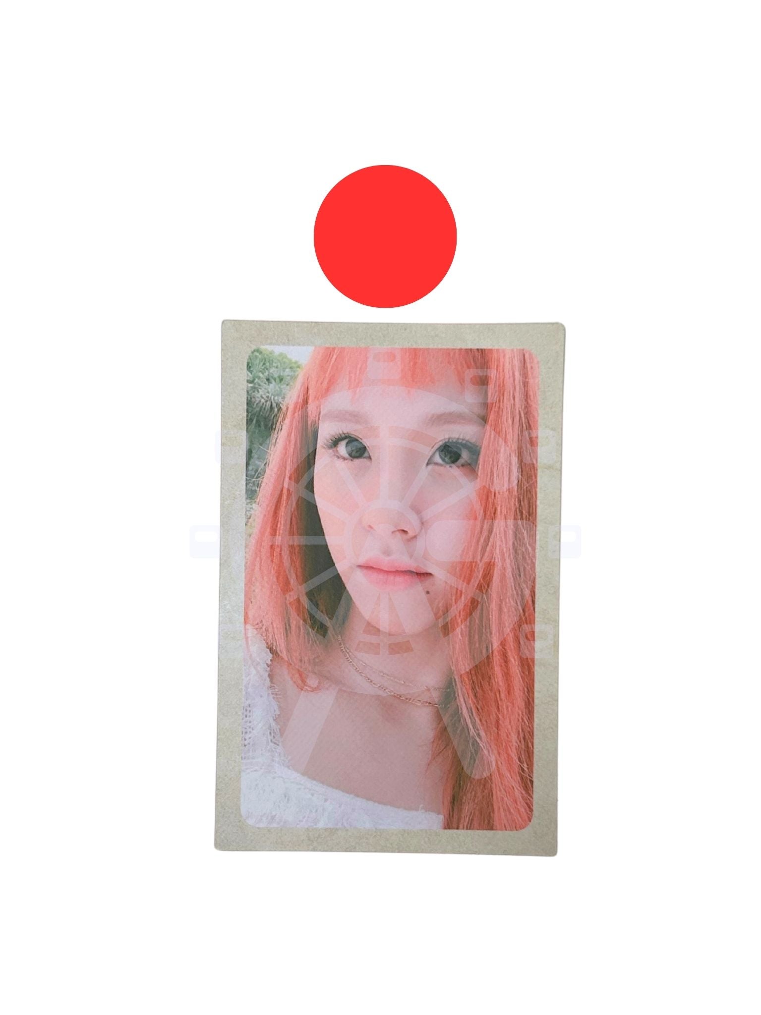 (trade) Twice 'Summer Nights' (Chaeyoung; Photobook Ver.)