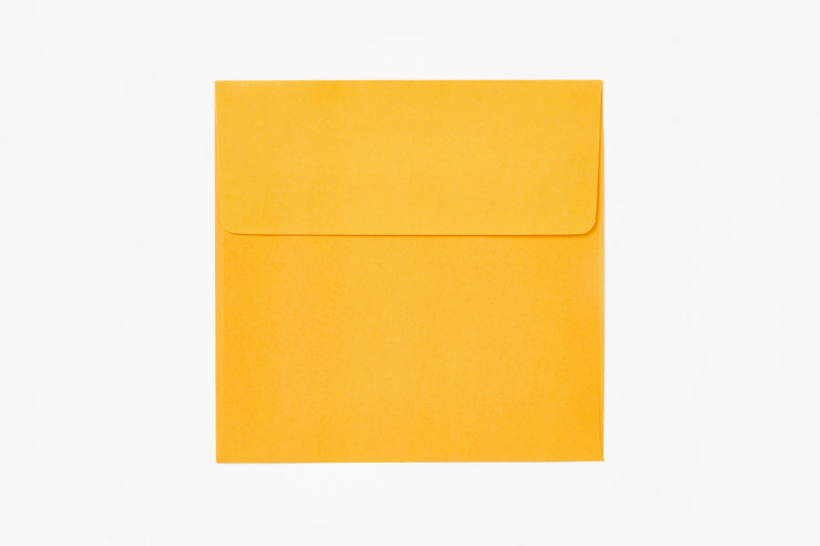 Christmas Card Poodle Christmas Tree