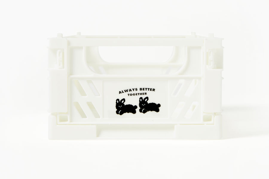 FOLDING STORAGE BOX SIMPLE WHITE