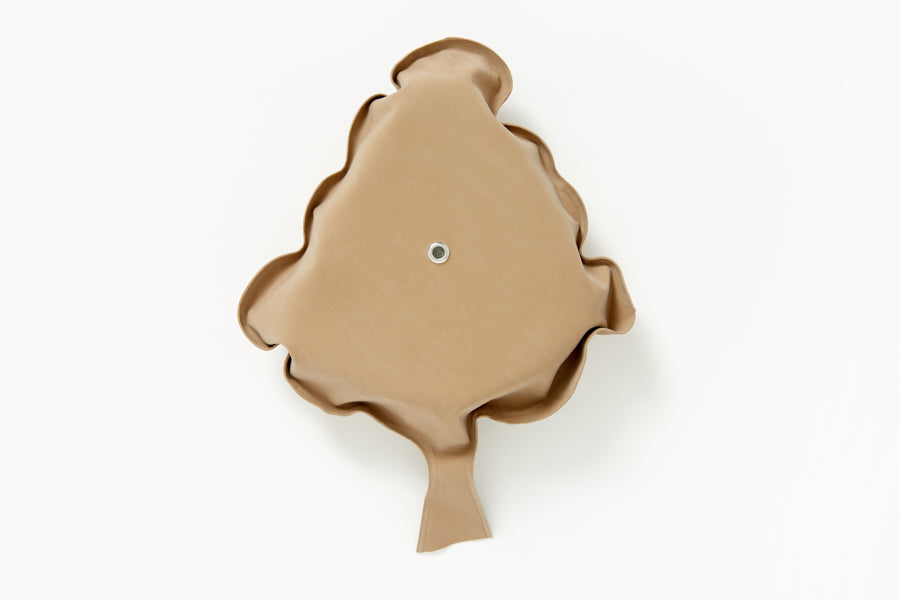 FARTING CUSHION POOP