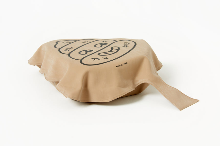 FARTING CUSHION POOP
