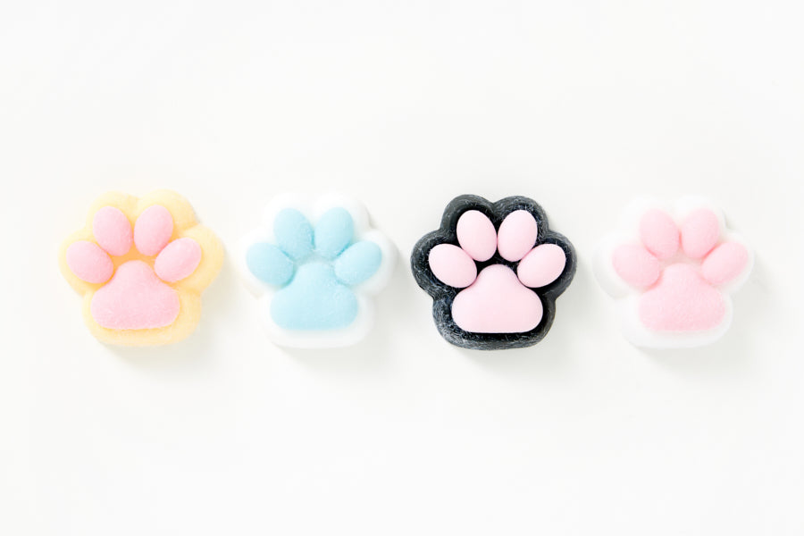 SQUISHY CAT PAW