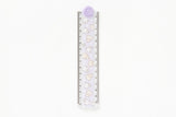 FOLDABLE RULER PUPPY