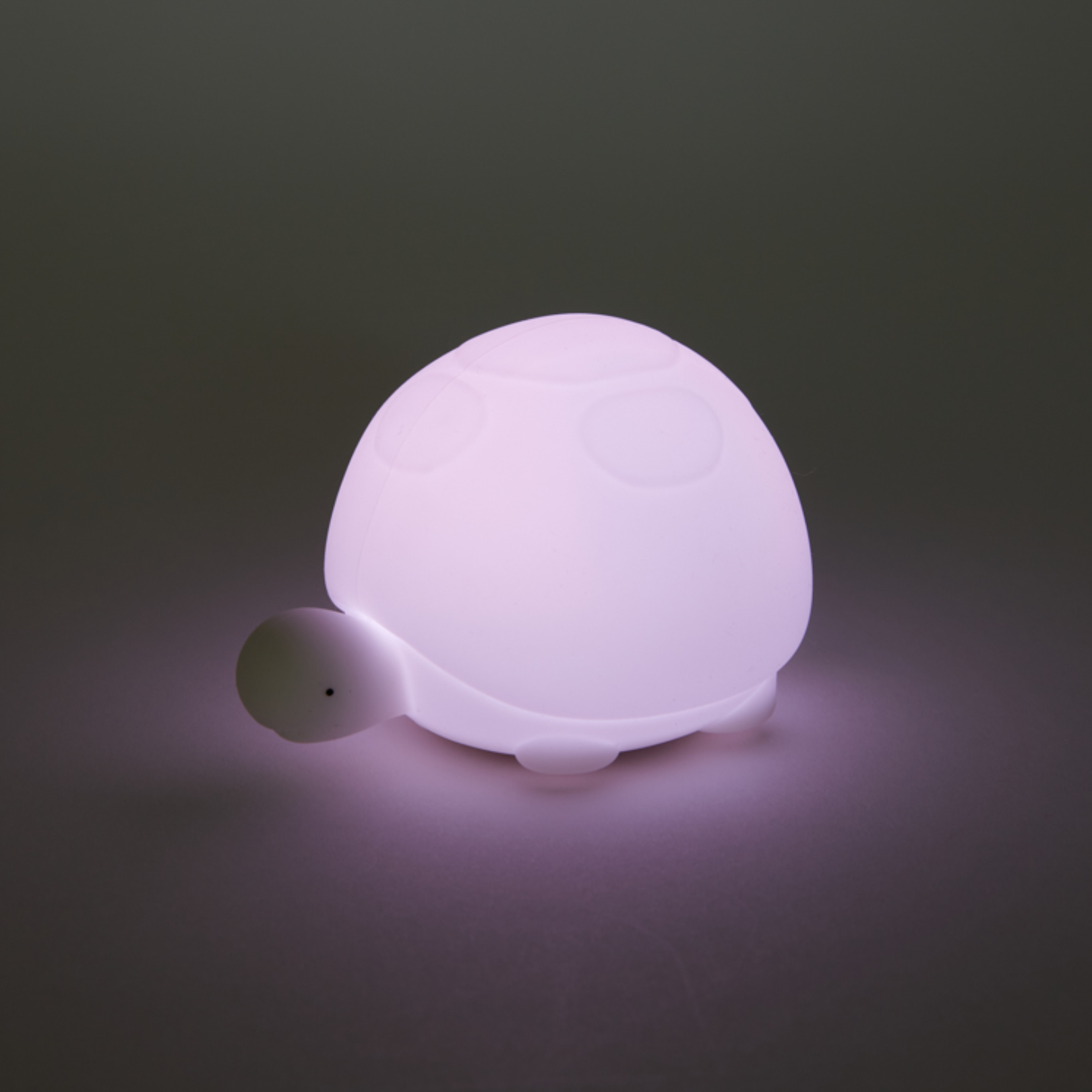 Turtle Mini Lamp – Amuse Ground