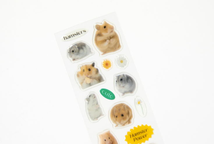 Hamster Seal Sticker