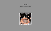 Seventeen Best Album "17 is RIGHT HERE" (Kit Ver.)