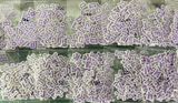 Alphabet Purple