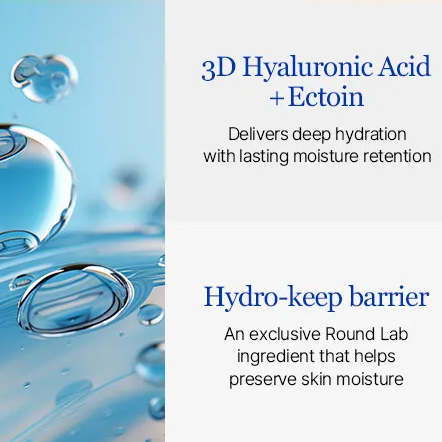 ROUND LAB Birch Juice Moisturizing Intensive Cream [50ml]