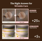 Dr.Reju-All Advanced PDRN Rejuvenating Mask [1ea]