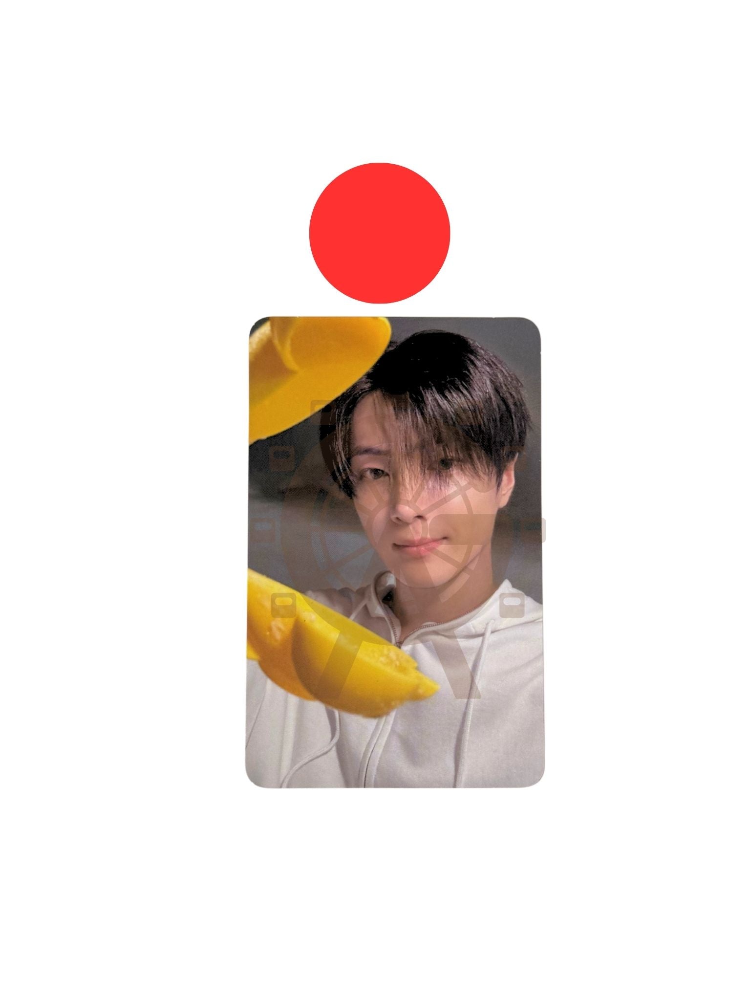 (trade) Enhypen Romance: Untold - Daydream (Weverse Album: Jay)