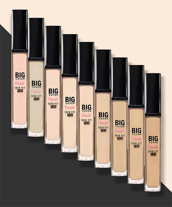 Etude House Big Cover Skin Fit Concealer Pro 6 Colors