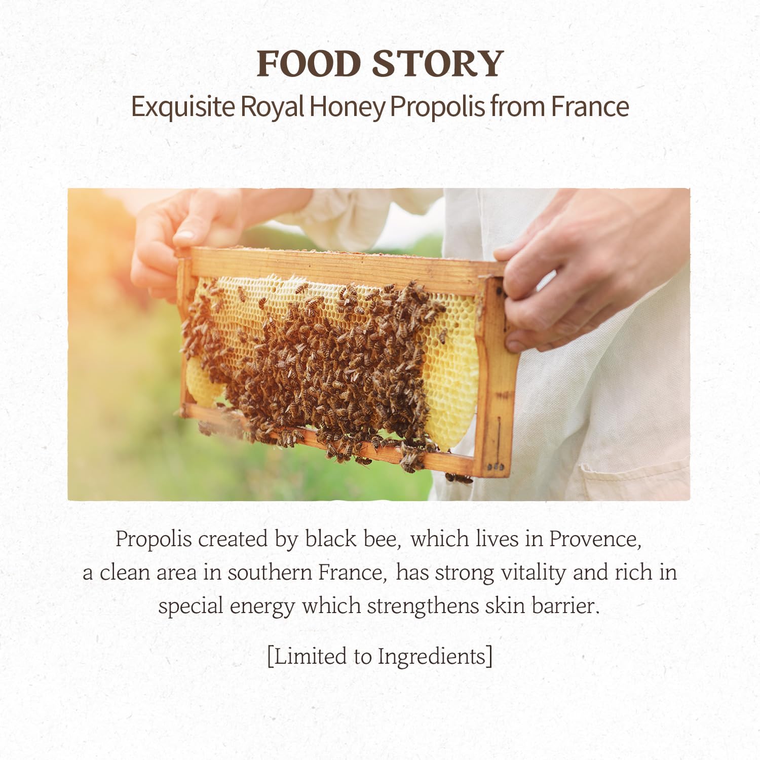 SKINFOOD Royal Honey Propolis Enrich Mask [1ea]