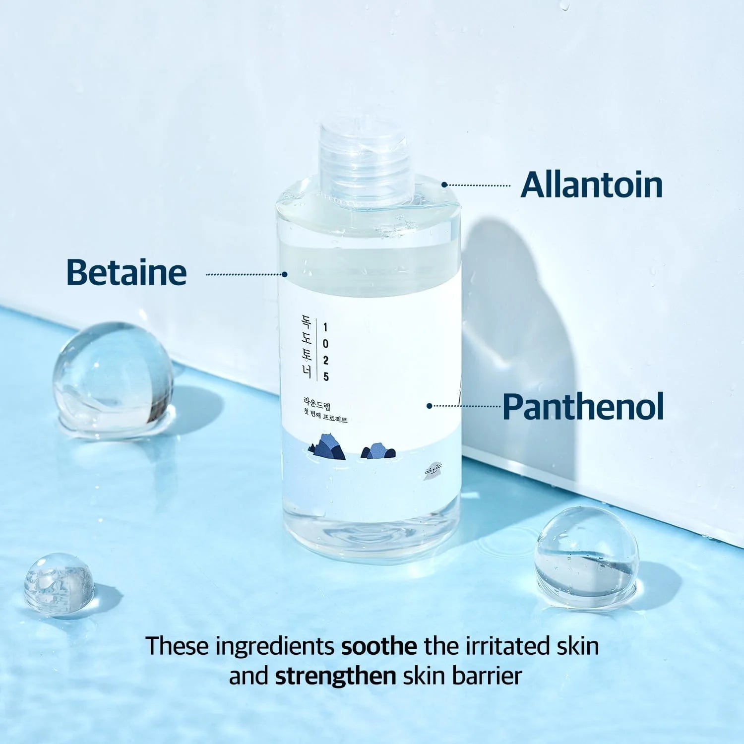 ROUND LAB 1025 Dokdo Toner + Lotion Set [200ml]