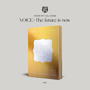 VICTON VOICE  THE FUTURE IS NOW