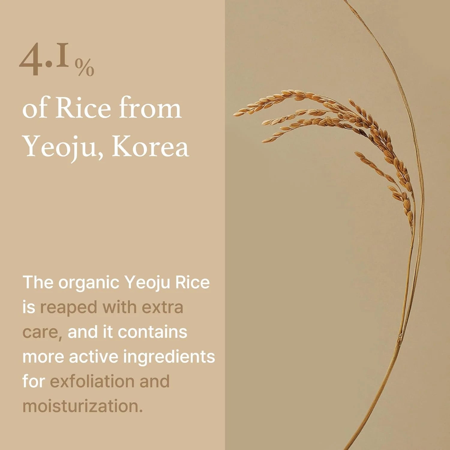 I'm from Rice Sheet Mask [1ea]
