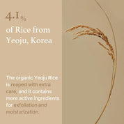 I'm from Rice Sheet Mask [1ea]