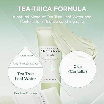 SKIN1004 Madagascar Centella Tea-Trica BHA Foam [125ml]