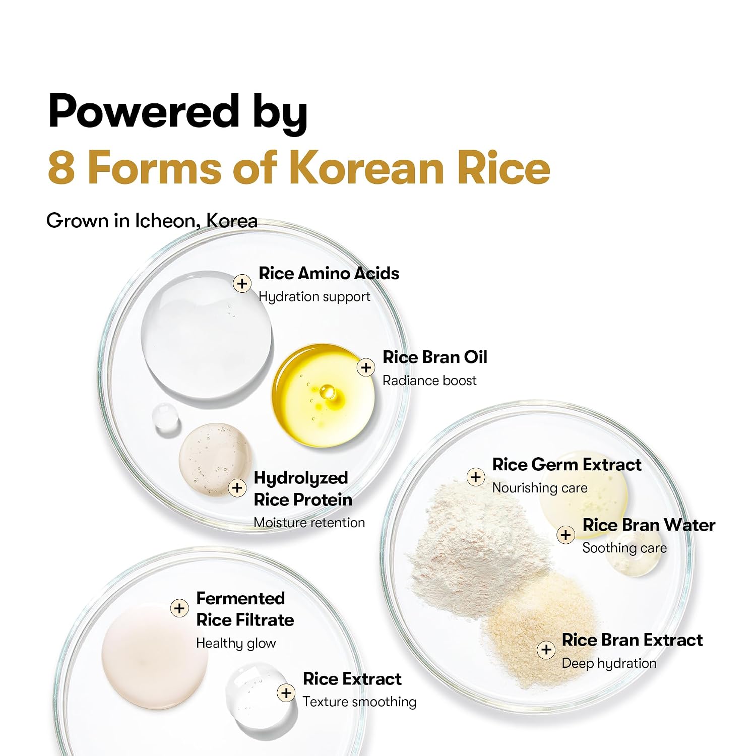 VT Rice Ceramide Serum [30g]