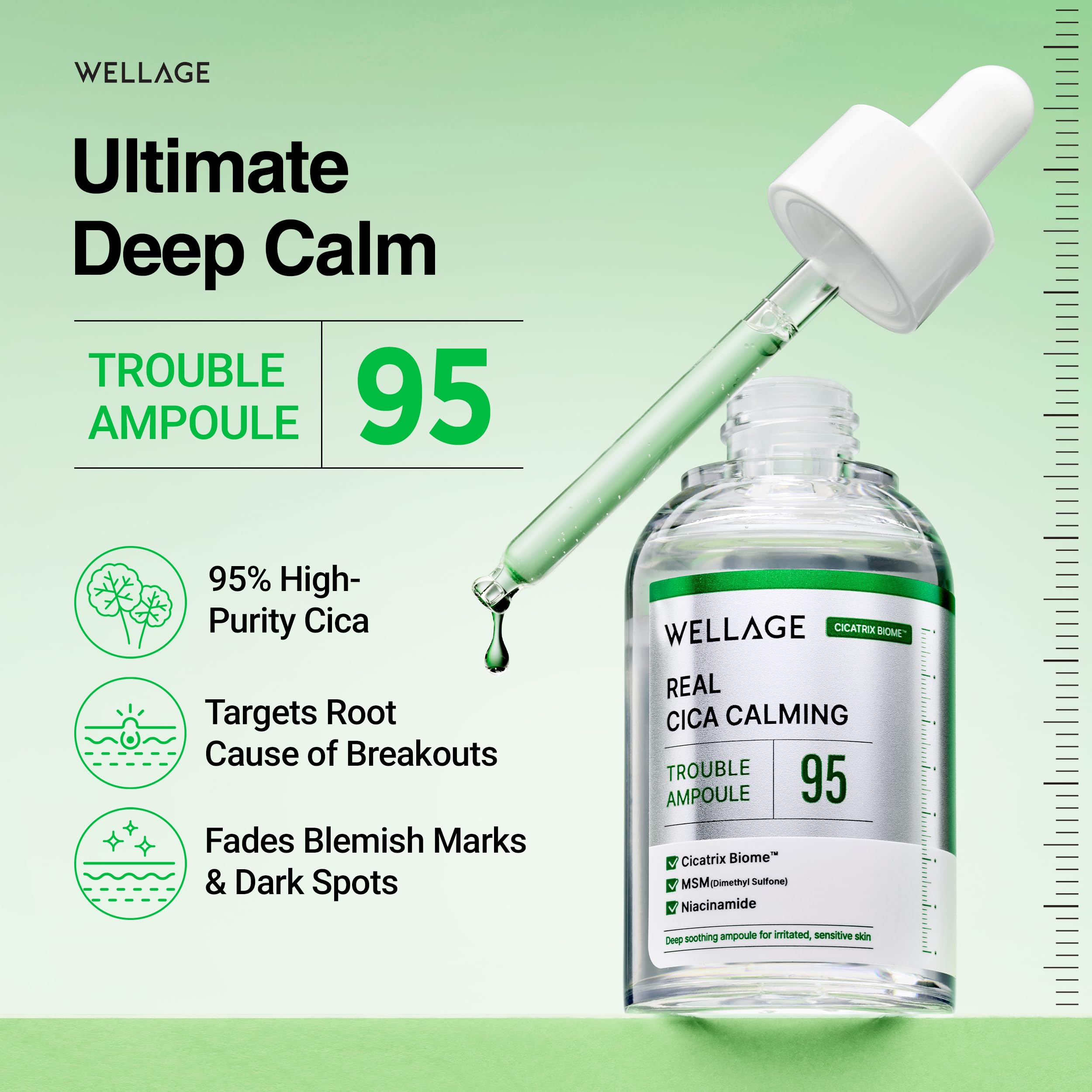 WELLAGE Real Cica Calming 95 Trouble Ampoule [50ml]