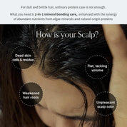 GROWUS Algae Therapy Mineral Shampoo [500ml]