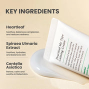 AXIS-Y Heartleaf My Type Calming Cream [60ml]