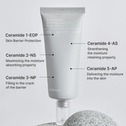celimax Dual Barrier Skin Wearable Cream