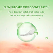 ACROPASS Dark Spot Care Microcone Patch