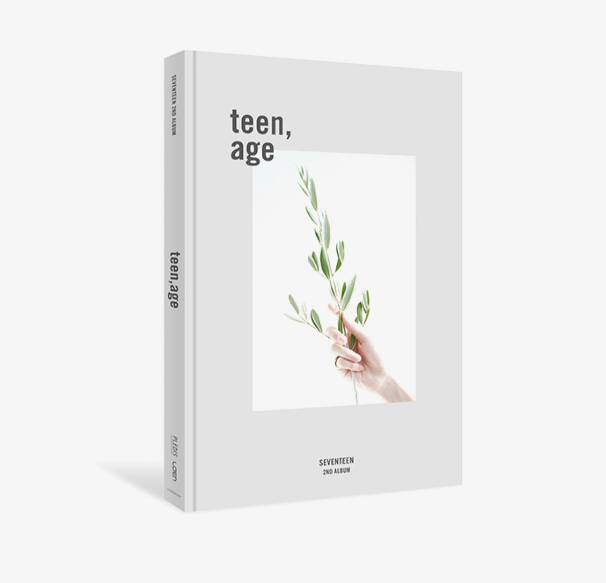 Seventeen Vol.2: Teen, Age [Reprint]