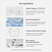 LAGOM Collagen Lifting Neck Cream [50ml]