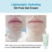 celimax The Real Cica Soothing Cream [50ml]